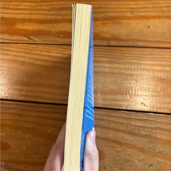 (48) THE GIRL AT THE LION D’OR BOOK - Picture 5 of 14